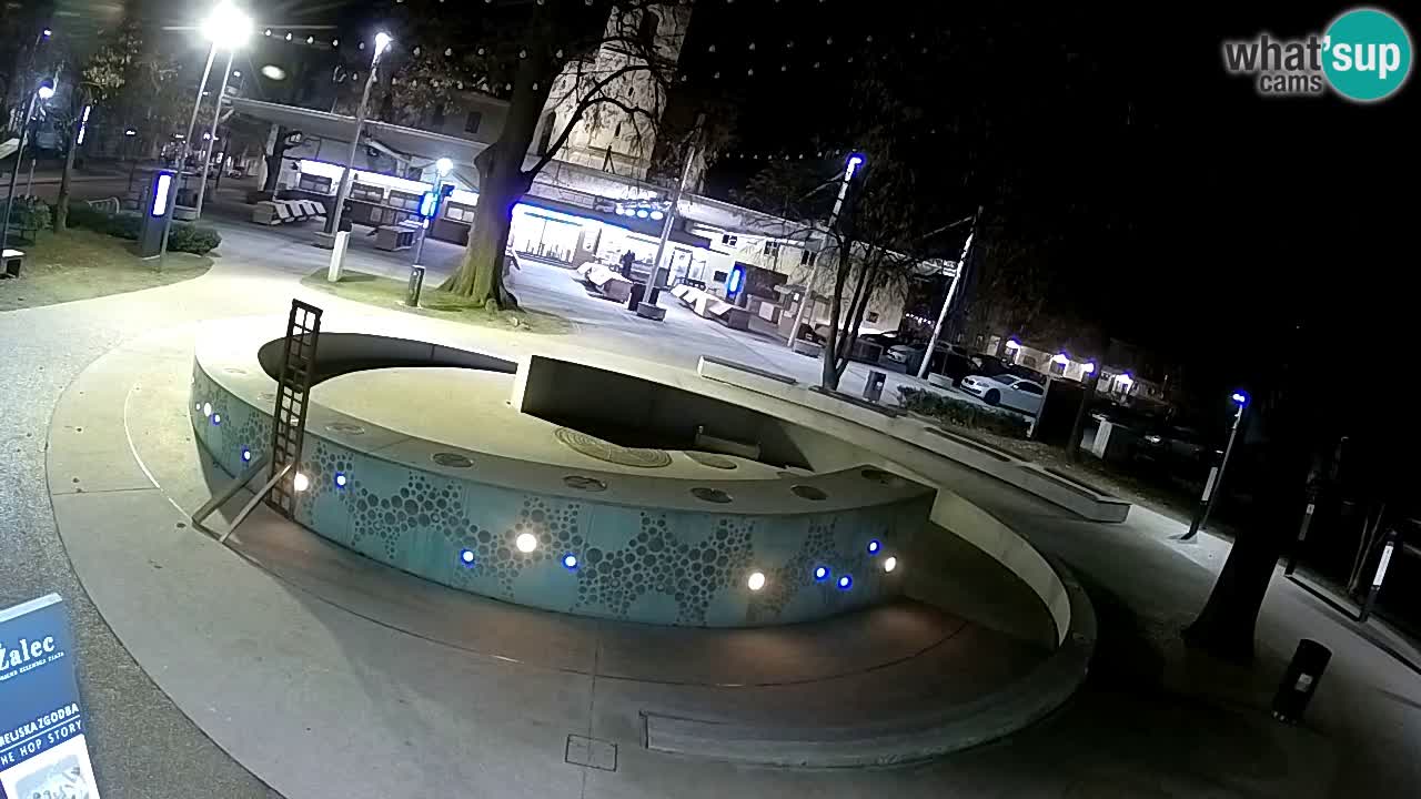 Fontaine à bière LIVE webcam – Or vert – Žalec