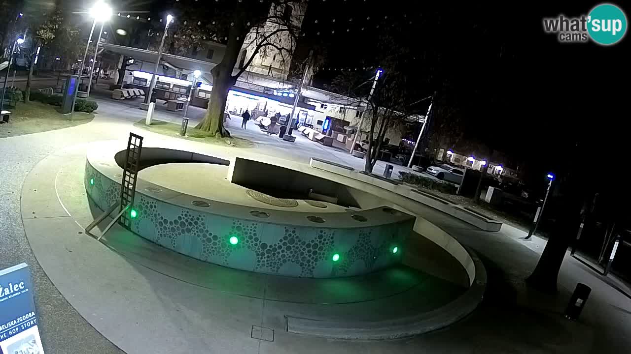 Fontaine à bière LIVE webcam – Or vert – Žalec