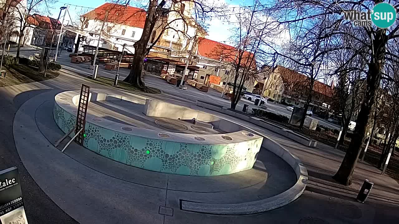 Web kamera Fontana piva – Zeleno zlato – Žalec