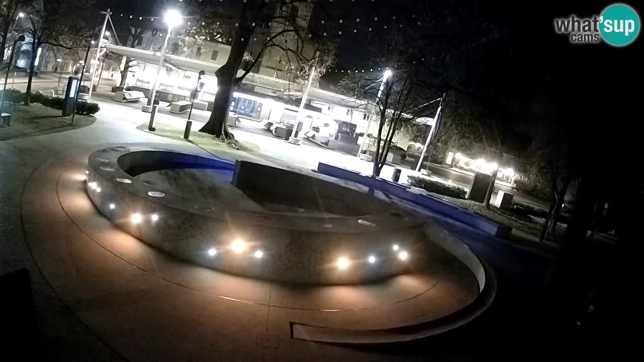 Camera en vivo Fuente de cerveza – Oro verde – Žalec