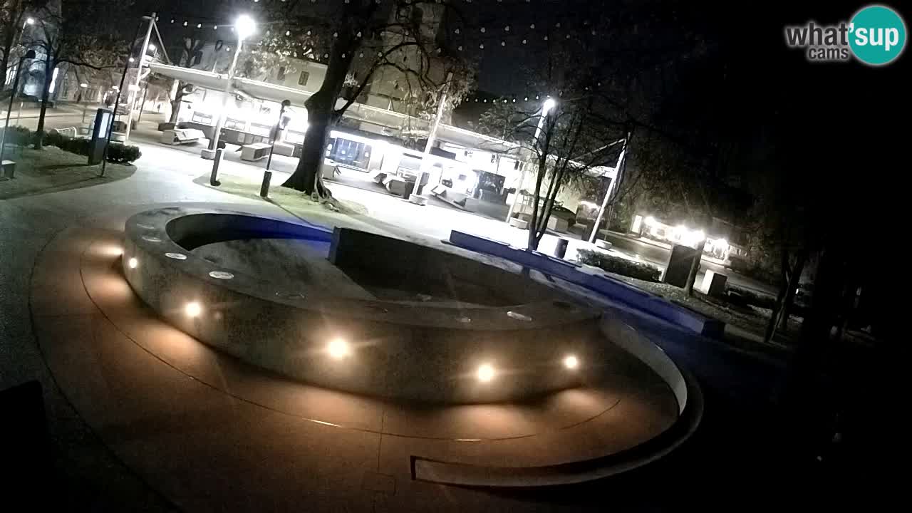 Fontaine à bière LIVE webcam – Or vert – Žalec