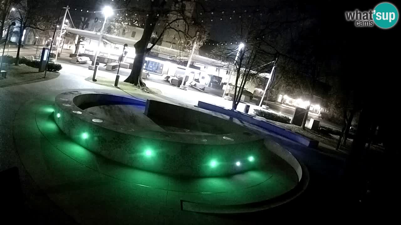 Fontaine à bière LIVE webcam – Or vert – Žalec