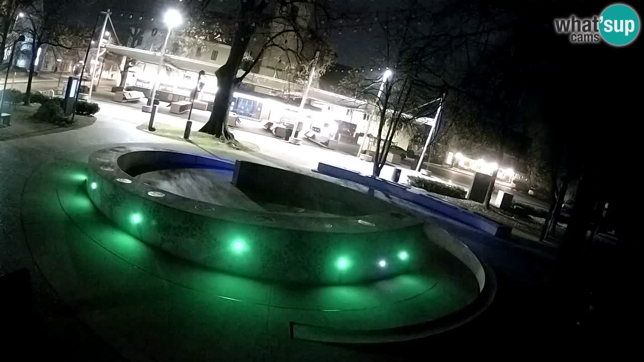 Fontaine à bière LIVE webcam – Or vert – Žalec