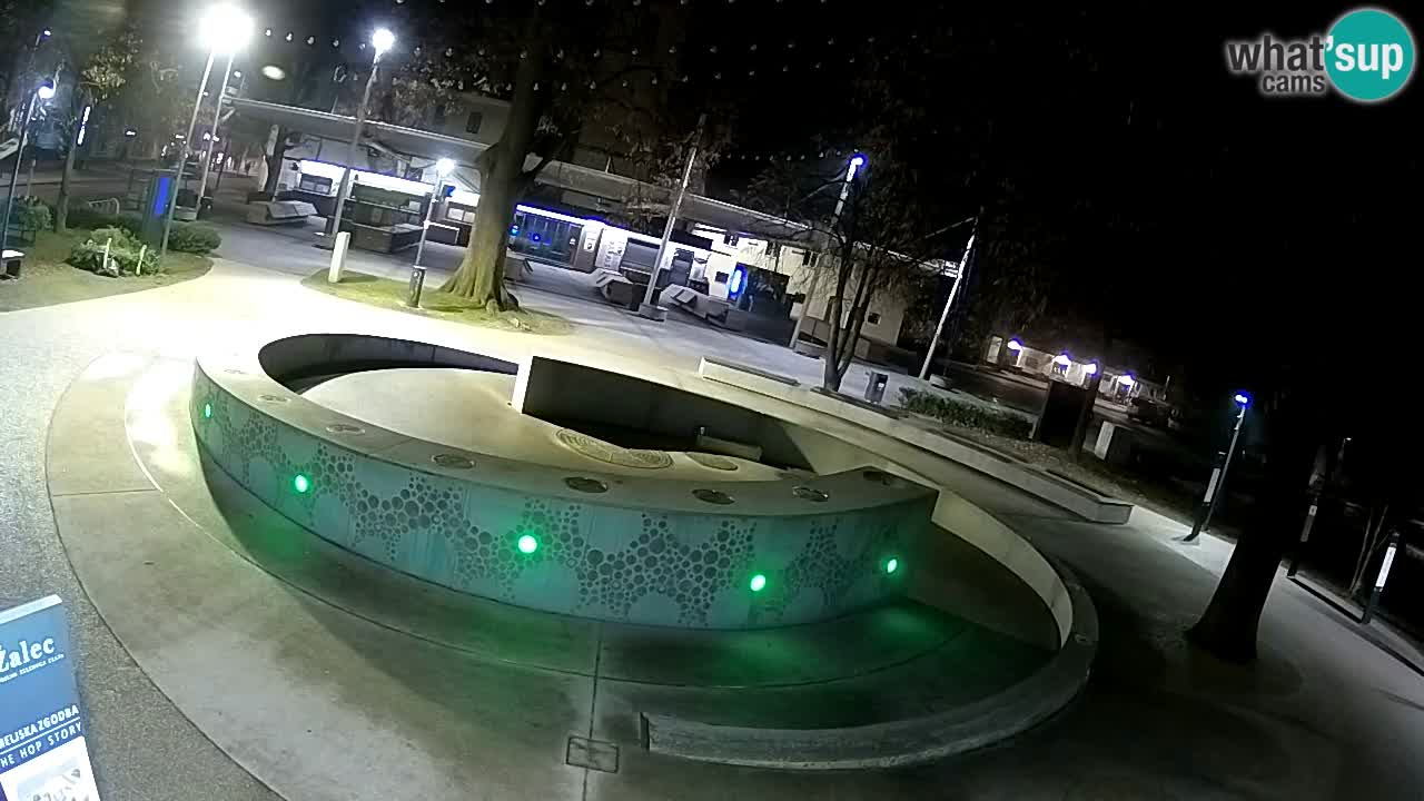 Fontana di birra Webcam – Oro verde – Žalec