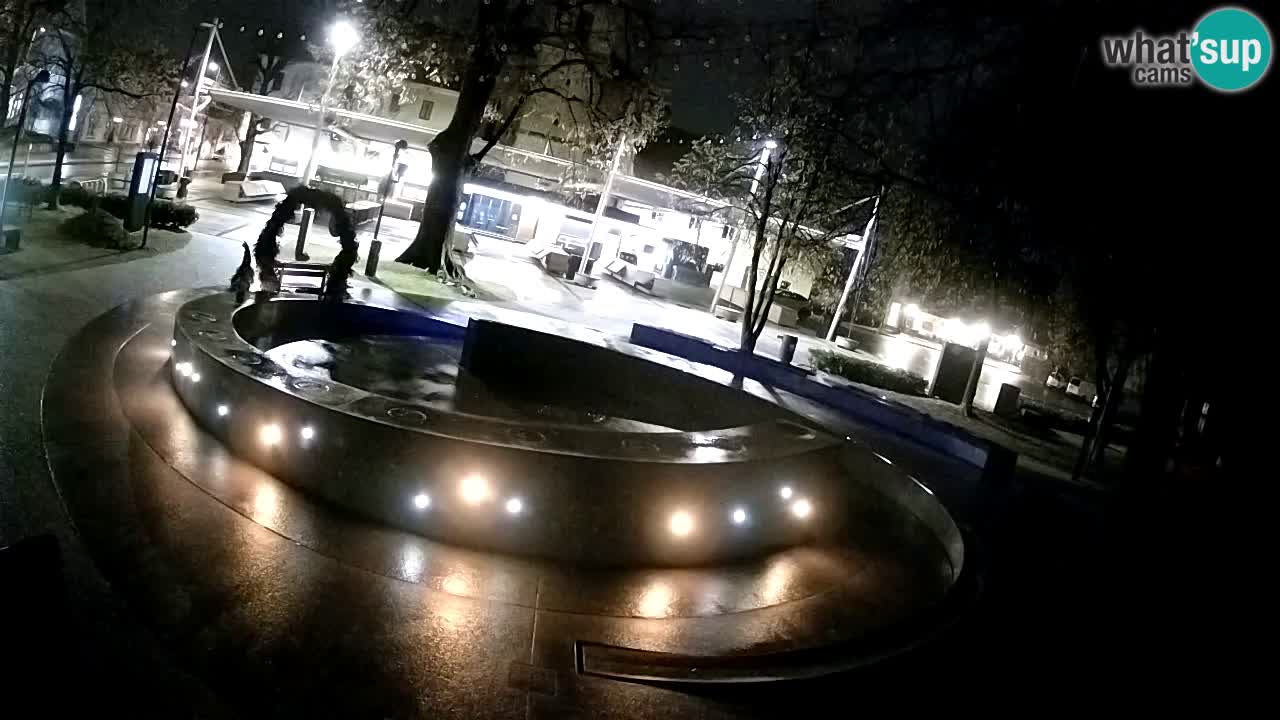 Camera en vivo Fuente de cerveza – Oro verde – Žalec