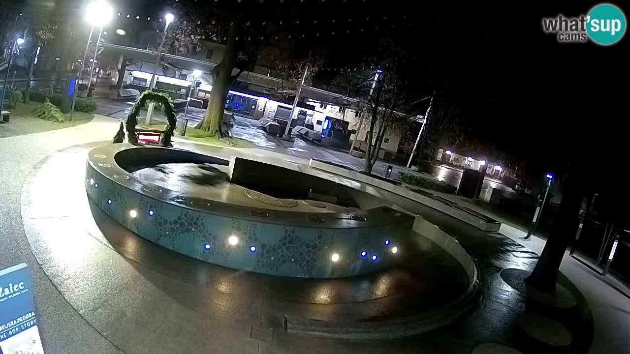 Fontaine à bière LIVE webcam – Or vert – Žalec