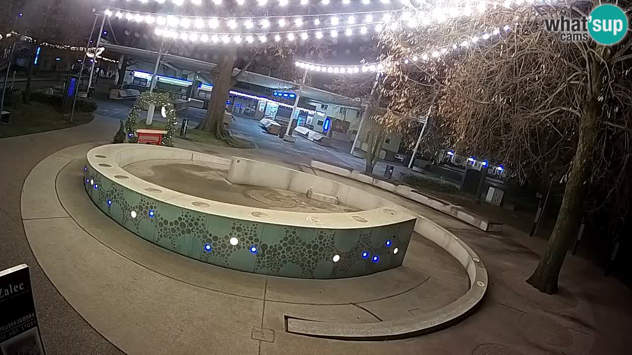 Spletna kamera Fontana Piv – Zeleno zlato Žalec