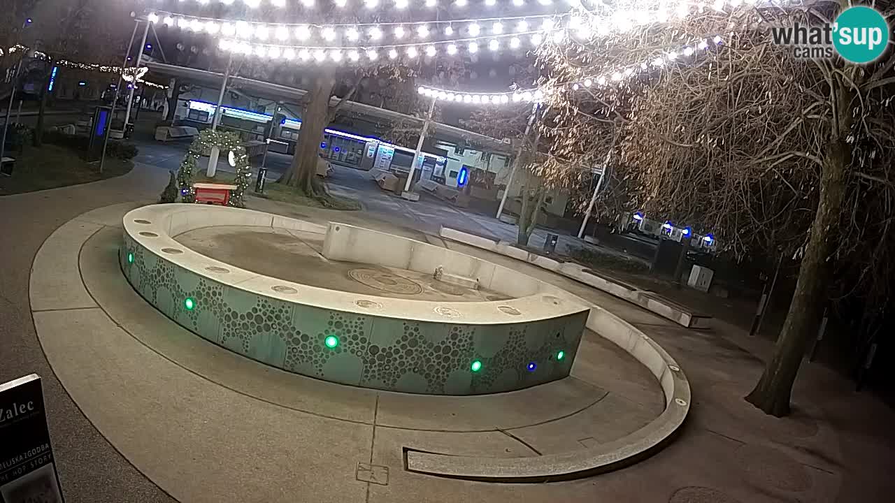 Camera en vivo Fuente de cerveza – Oro verde – Žalec