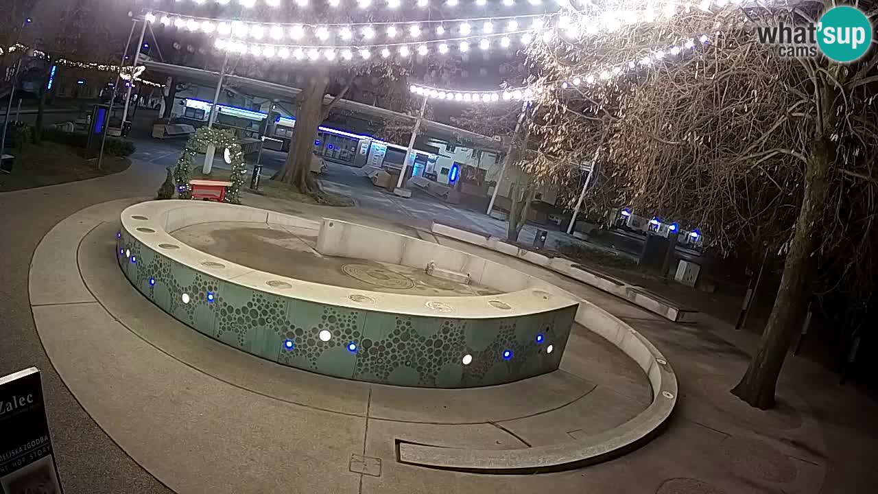 Spletna kamera Fontana Piv – Zeleno zlato Žalec