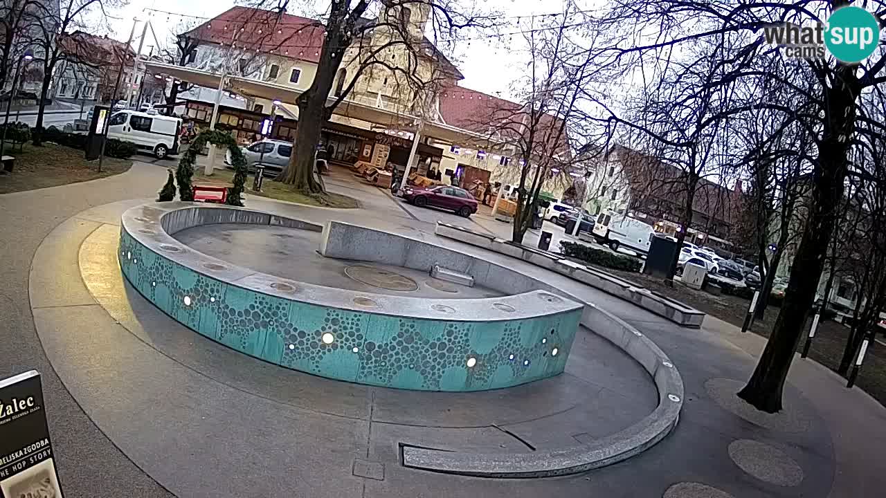 Bier-Springbrunnen Webcam Žalec – Grünen Goldes