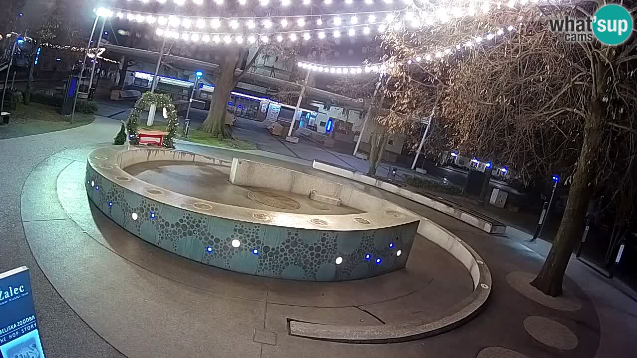 Fontaine à bière LIVE webcam – Or vert – Žalec