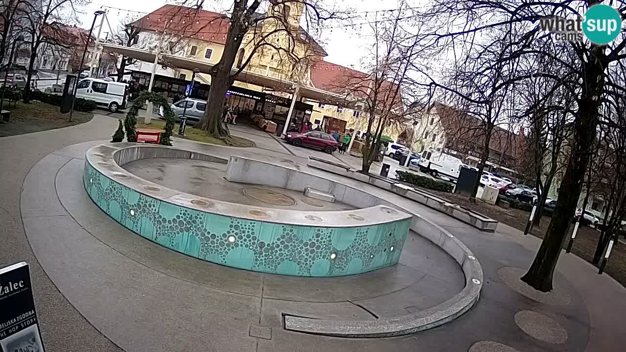 Fontana di birra Webcam – Oro verde – Žalec