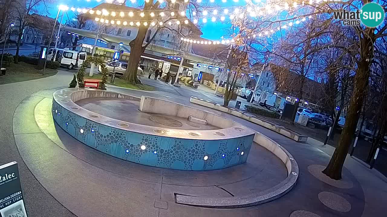 Bier-Springbrunnen Webcam Žalec – Grünen Goldes