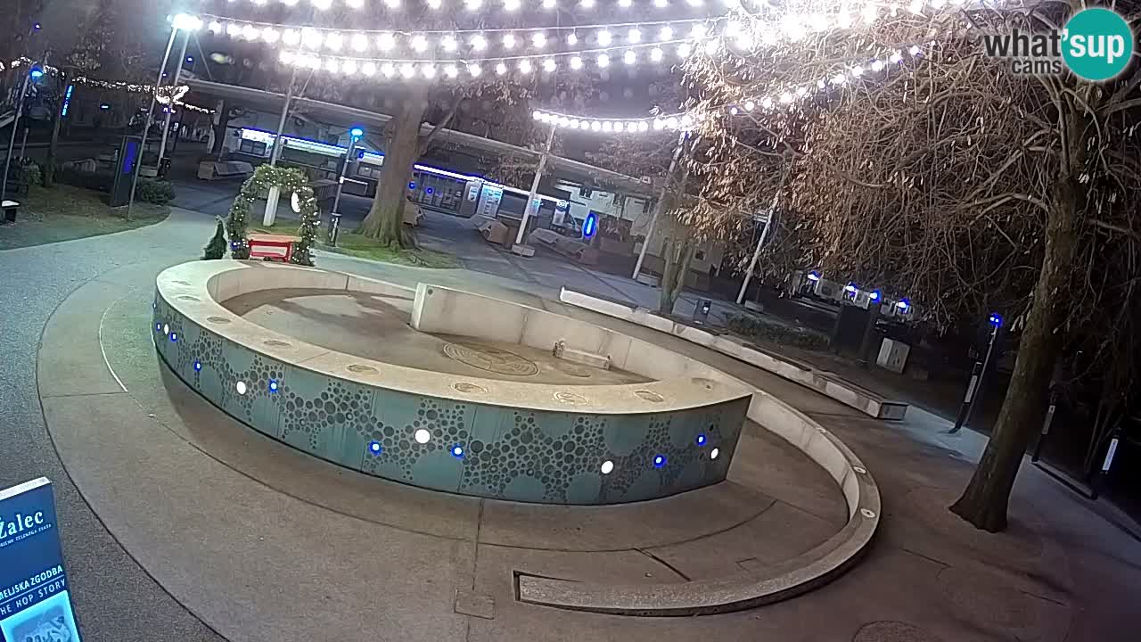 Fontana di birra Webcam – Oro verde – Žalec