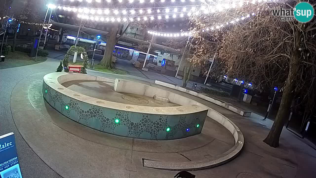Fontaine à bière LIVE webcam – Or vert – Žalec