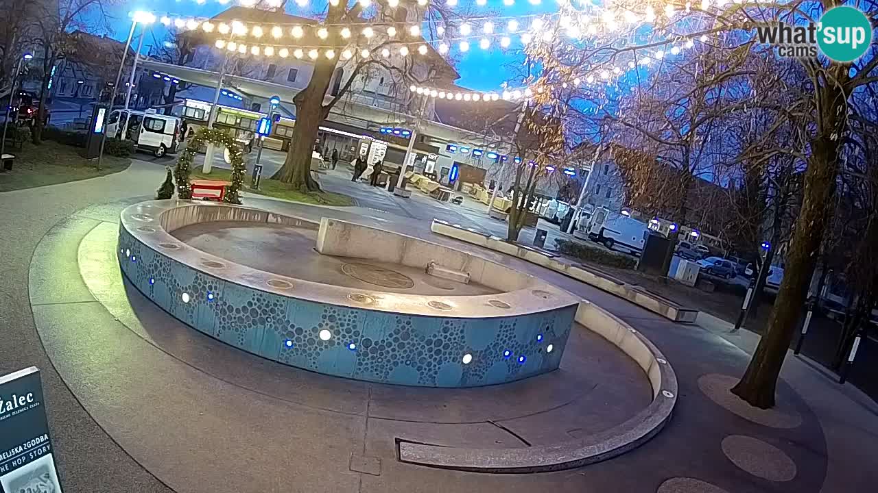 Fontaine à bière LIVE webcam – Or vert – Žalec