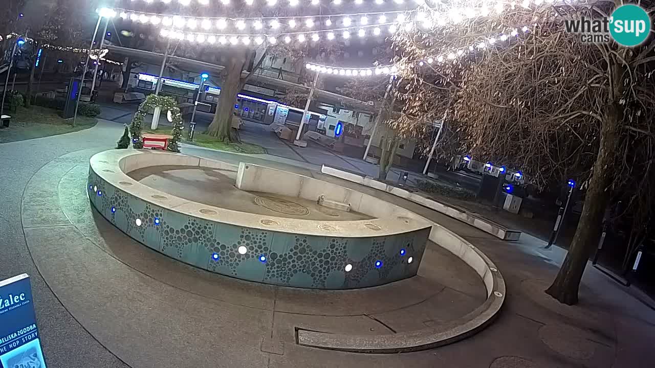 Bier-Springbrunnen Webcam Žalec – Grünen Goldes