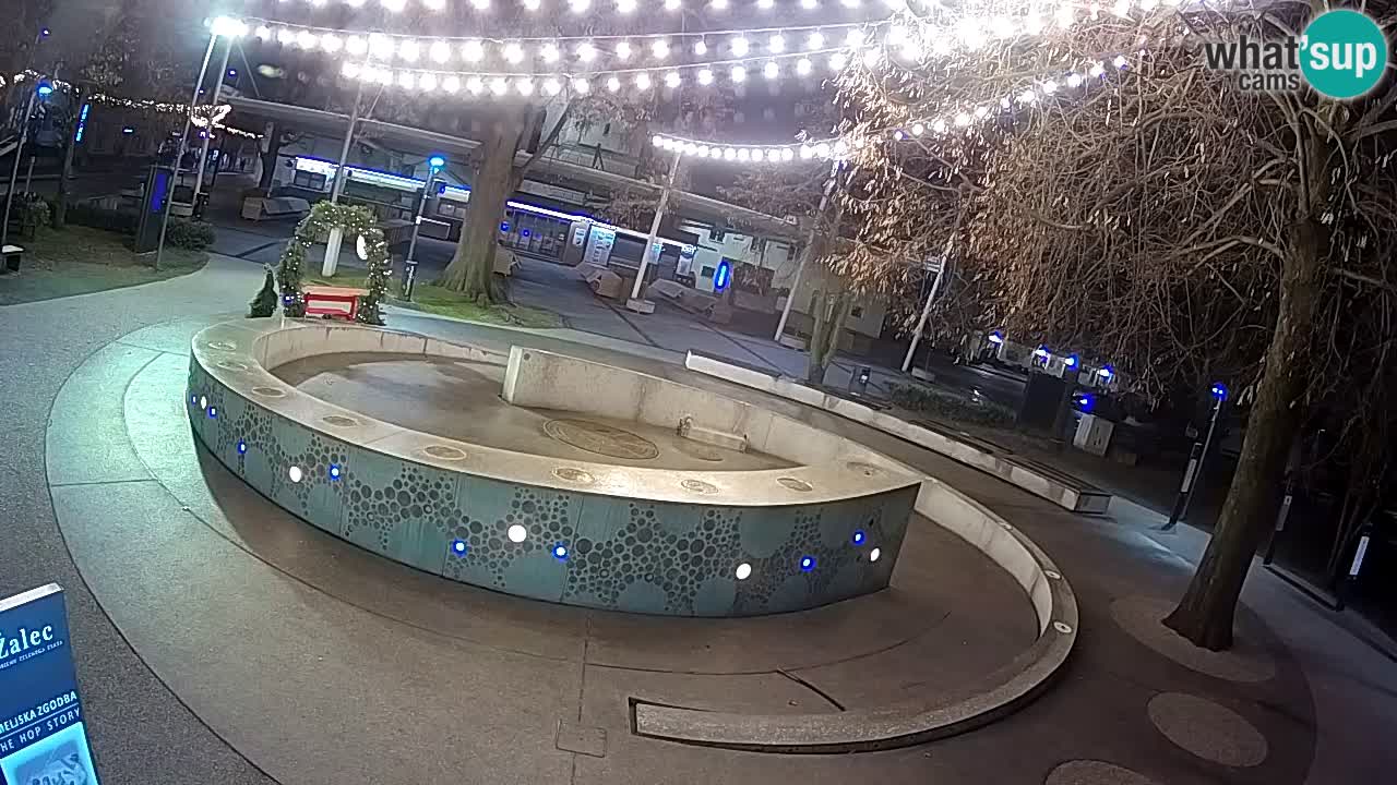 Fontaine à bière LIVE webcam – Or vert – Žalec