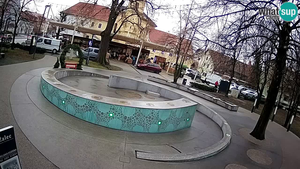 Fontaine à bière LIVE webcam – Or vert – Žalec