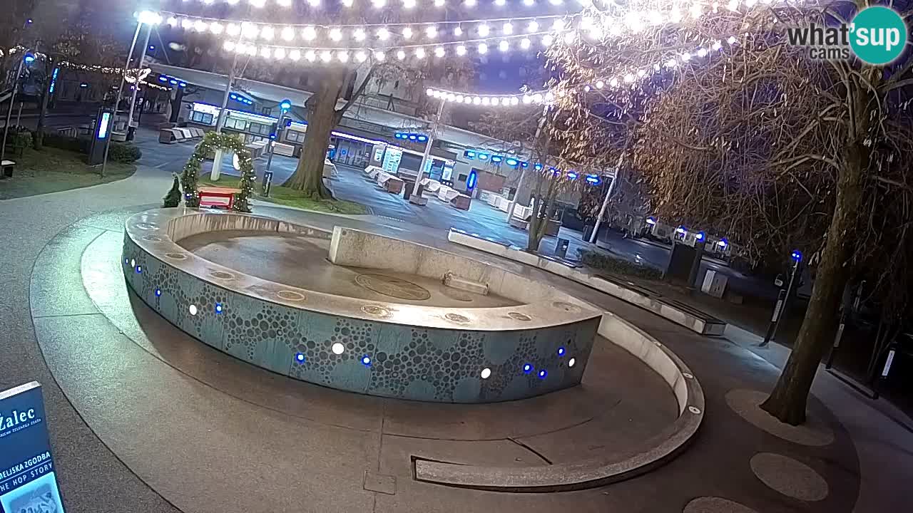 Fontana di birra Webcam – Oro verde – Žalec