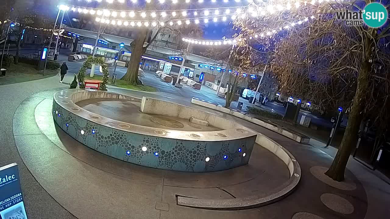 Camera en vivo Fuente de cerveza – Oro verde – Žalec