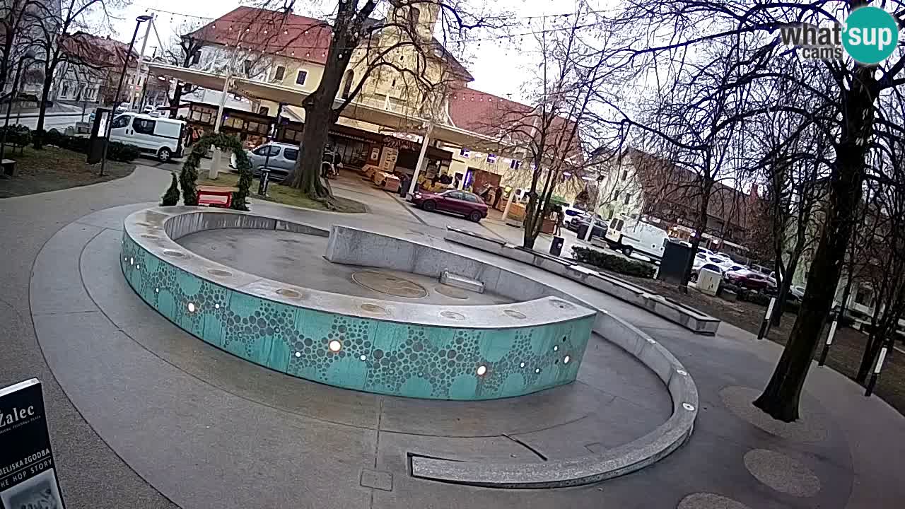 Bier-Springbrunnen Webcam Žalec – Grünen Goldes
