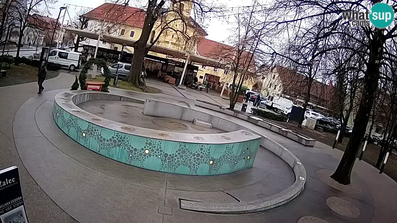 Camera en vivo Fuente de cerveza – Oro verde – Žalec