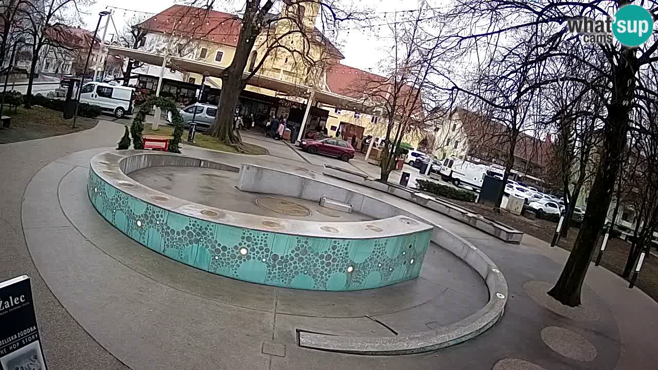Fontana di birra Webcam – Oro verde – Žalec