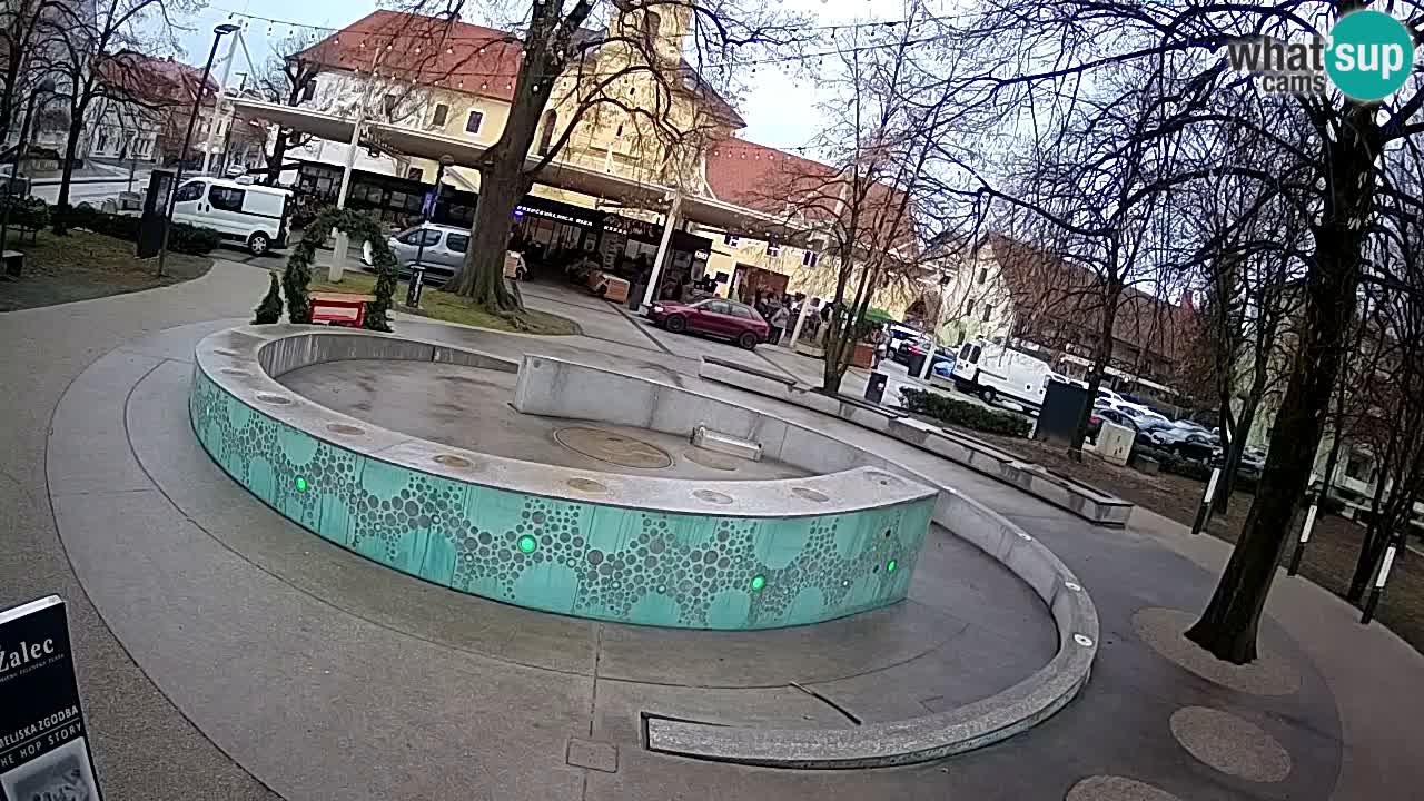 Camera en vivo Fuente de cerveza – Oro verde – Žalec