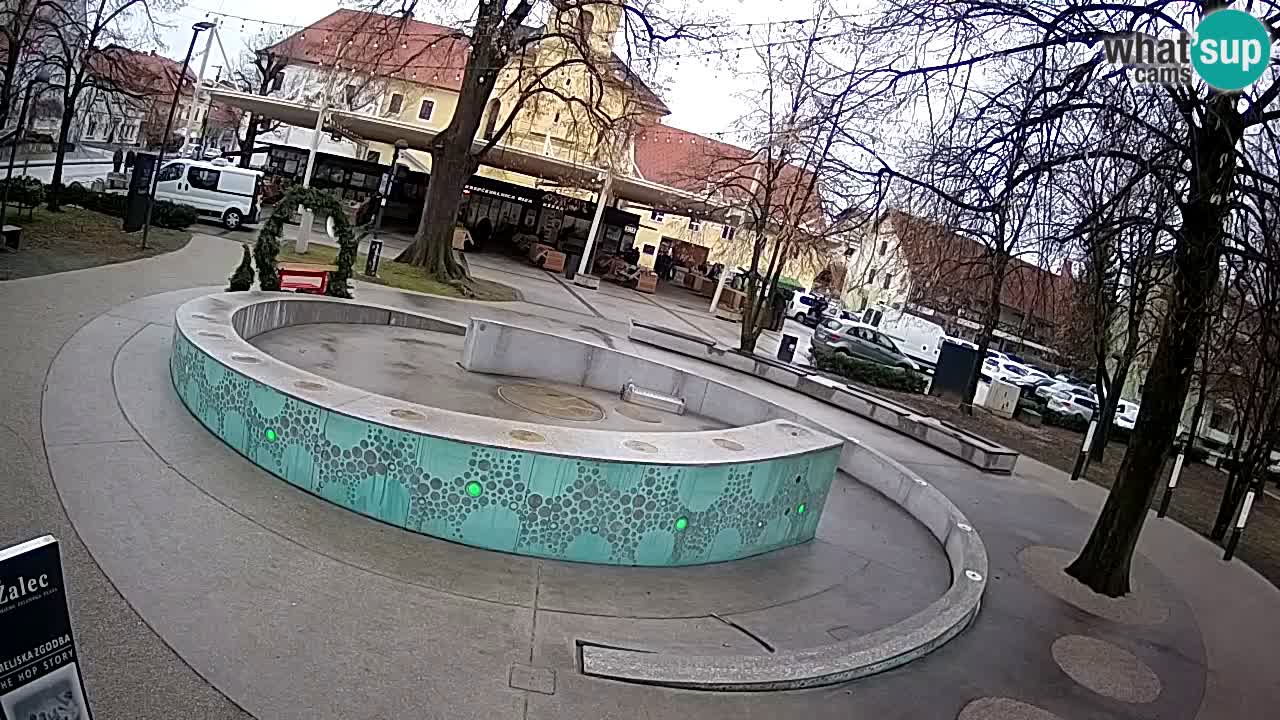 Web kamera Fontana piva – Zeleno zlato – Žalec