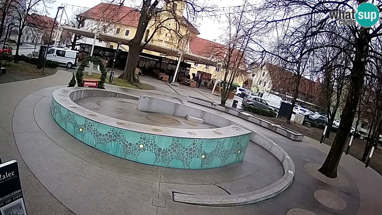 Camera en vivo Fuente de cerveza – Oro verde – Žalec