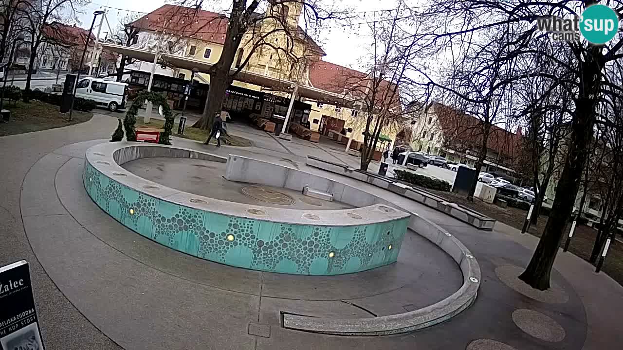 Fontaine à bière LIVE webcam – Or vert – Žalec