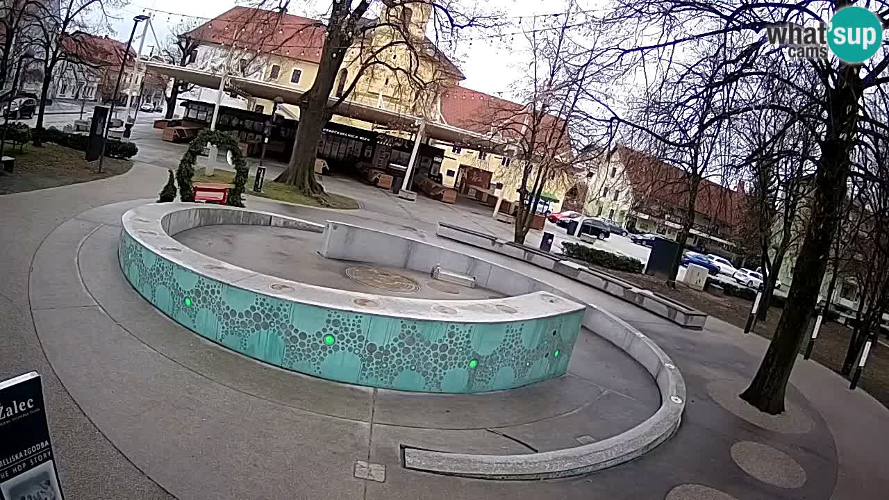 Fontana di birra Webcam – Oro verde – Žalec