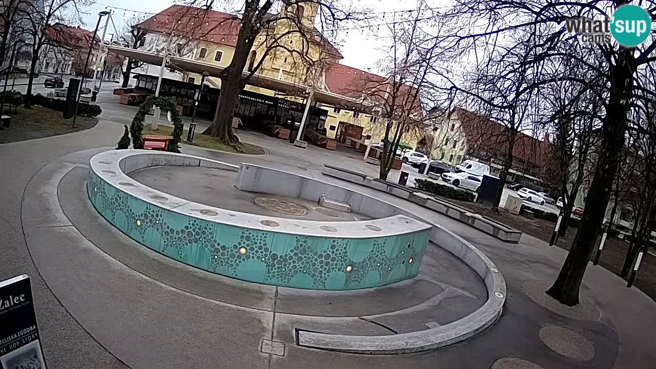Fontaine à bière LIVE webcam – Or vert – Žalec