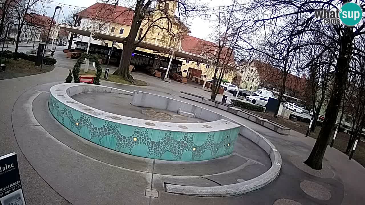 Fontaine à bière LIVE webcam – Or vert – Žalec
