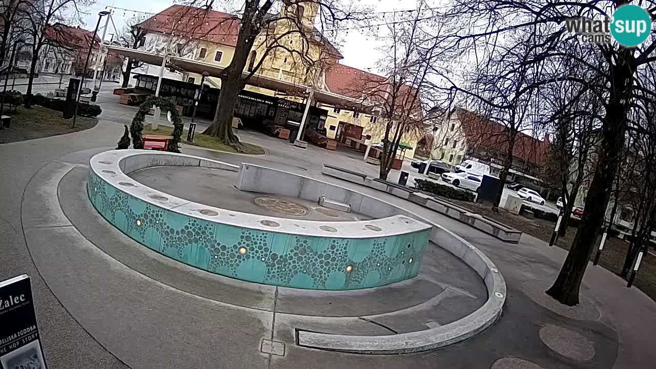 Bier-Springbrunnen Webcam Žalec – Grünen Goldes