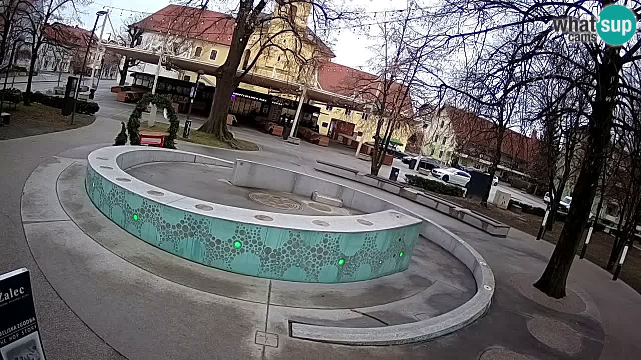Fontaine à bière LIVE webcam – Or vert – Žalec