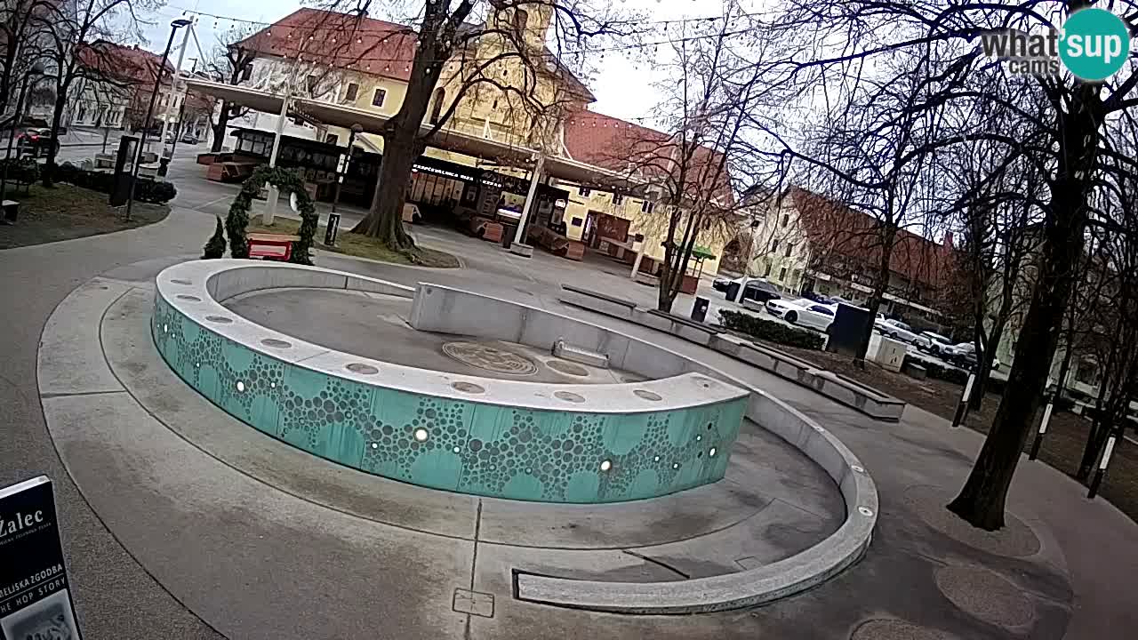 Web kamera Fontana piva – Zeleno zlato – Žalec