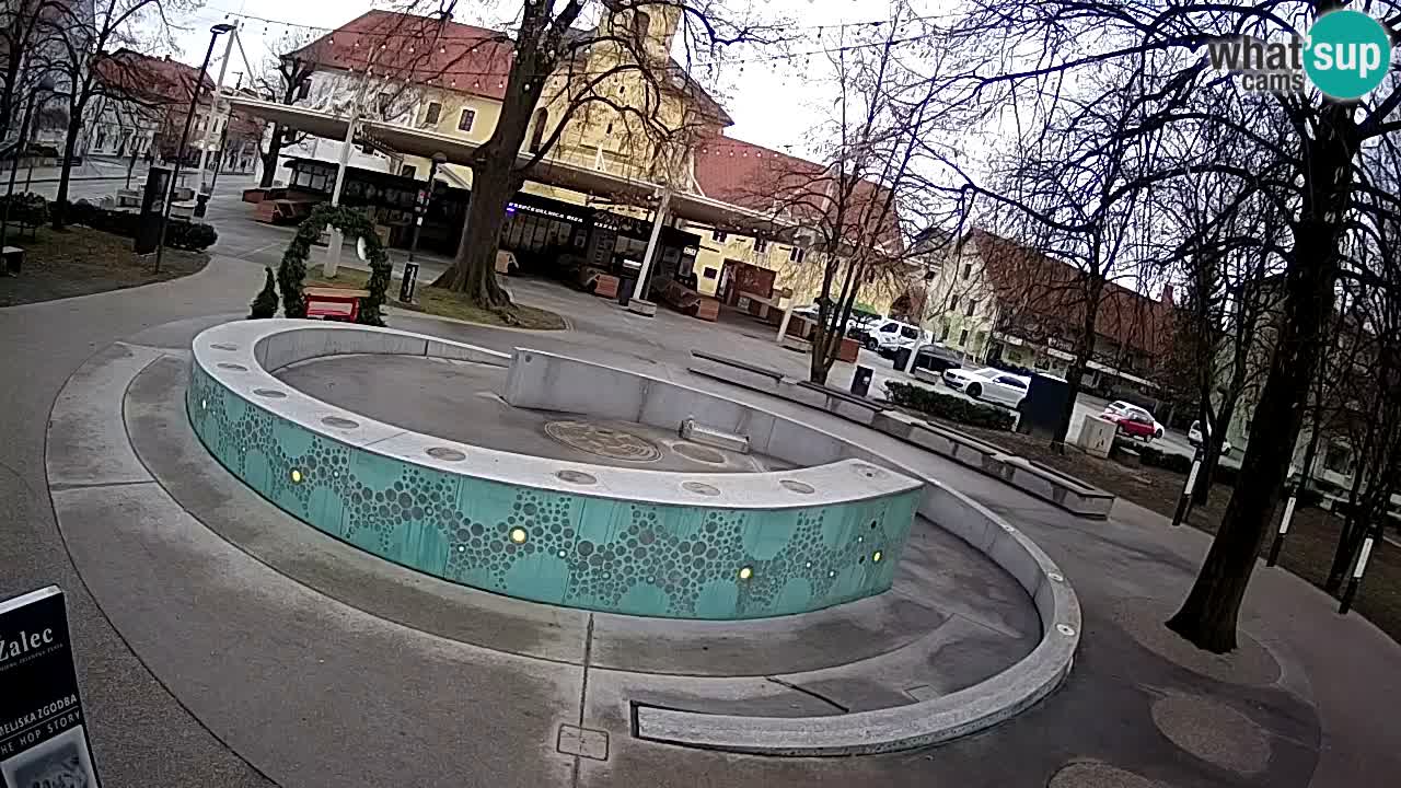 Fontaine à bière LIVE webcam – Or vert – Žalec