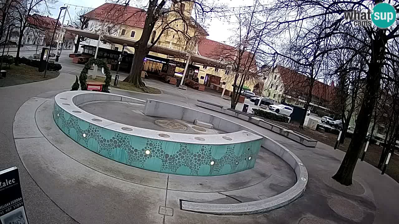 Bier-Springbrunnen Webcam Žalec – Grünen Goldes