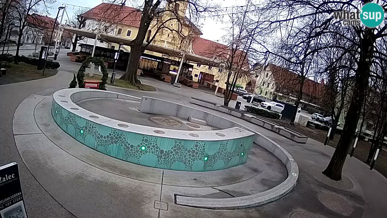 Camera en vivo Fuente de cerveza – Oro verde – Žalec