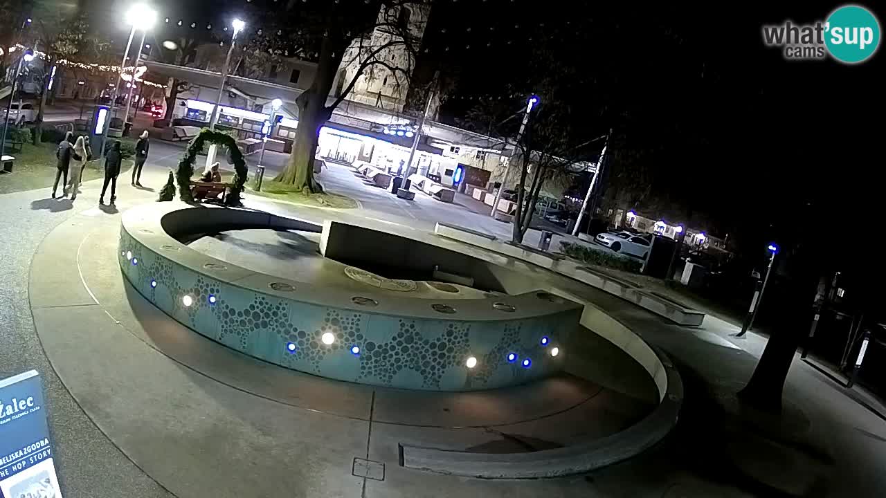 Fontana di birra Webcam – Oro verde – Žalec