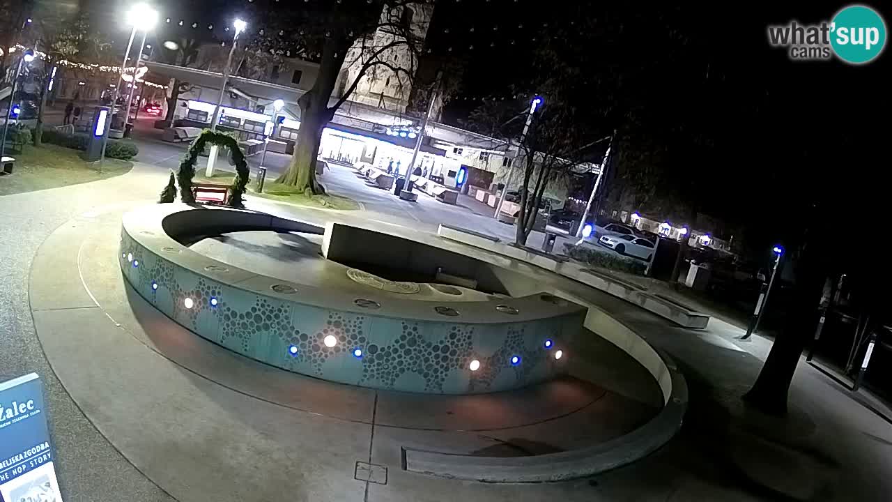 Fontana di birra Webcam – Oro verde – Žalec