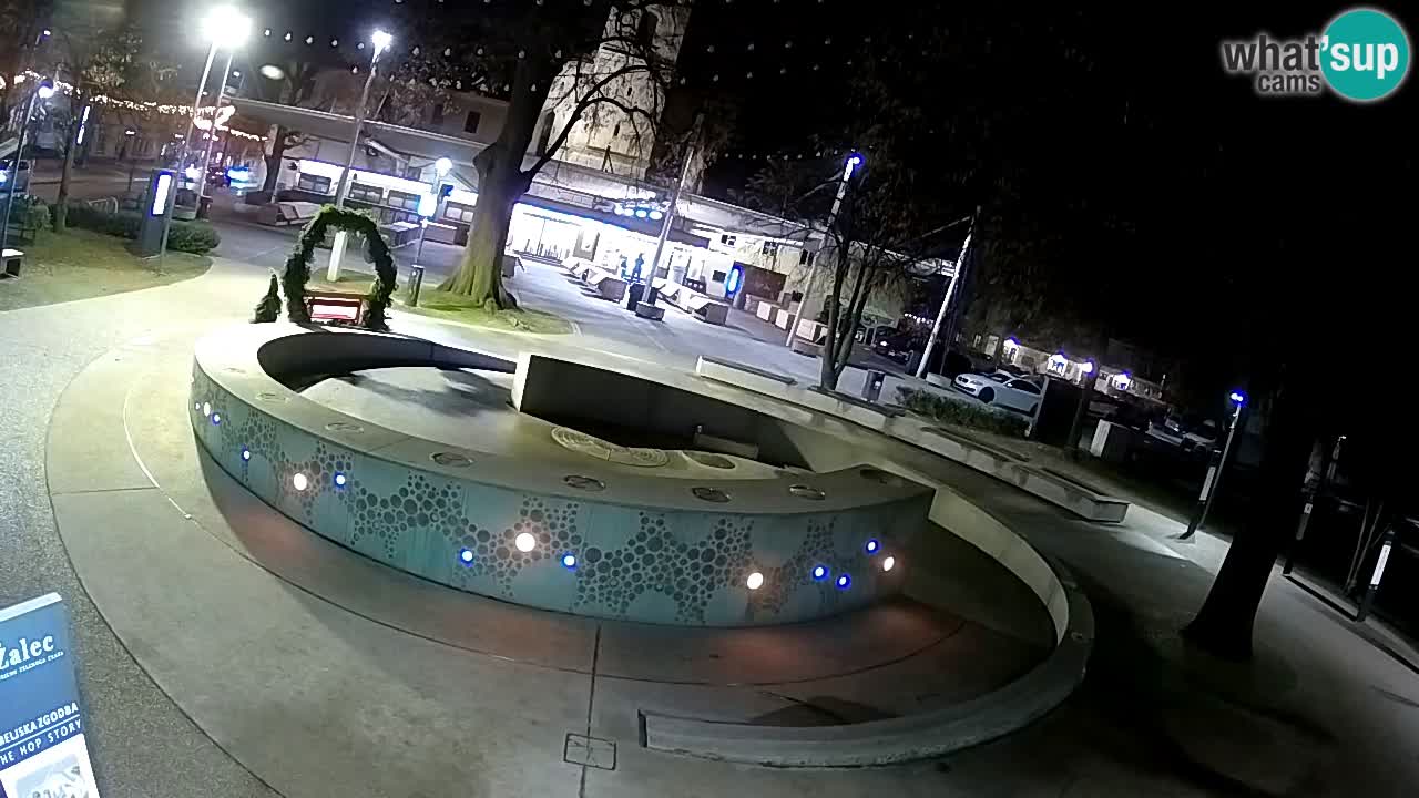 Fontana di birra Webcam – Oro verde – Žalec
