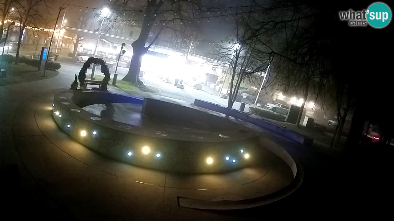 Fontaine à bière LIVE webcam – Or vert – Žalec