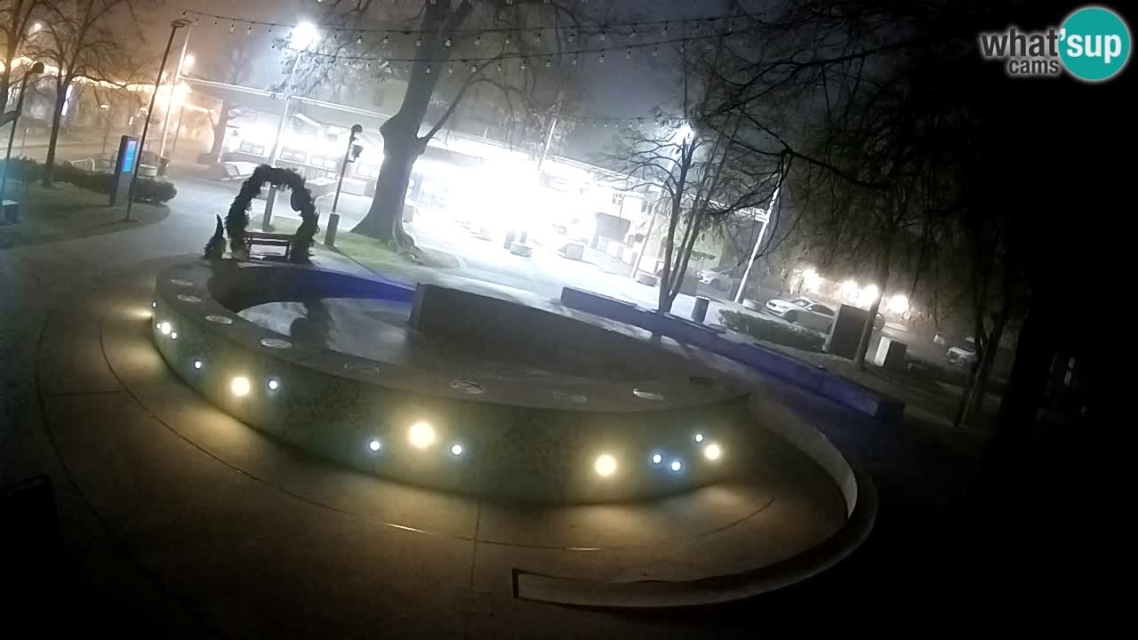 Bier-Springbrunnen Webcam Žalec – Grünen Goldes