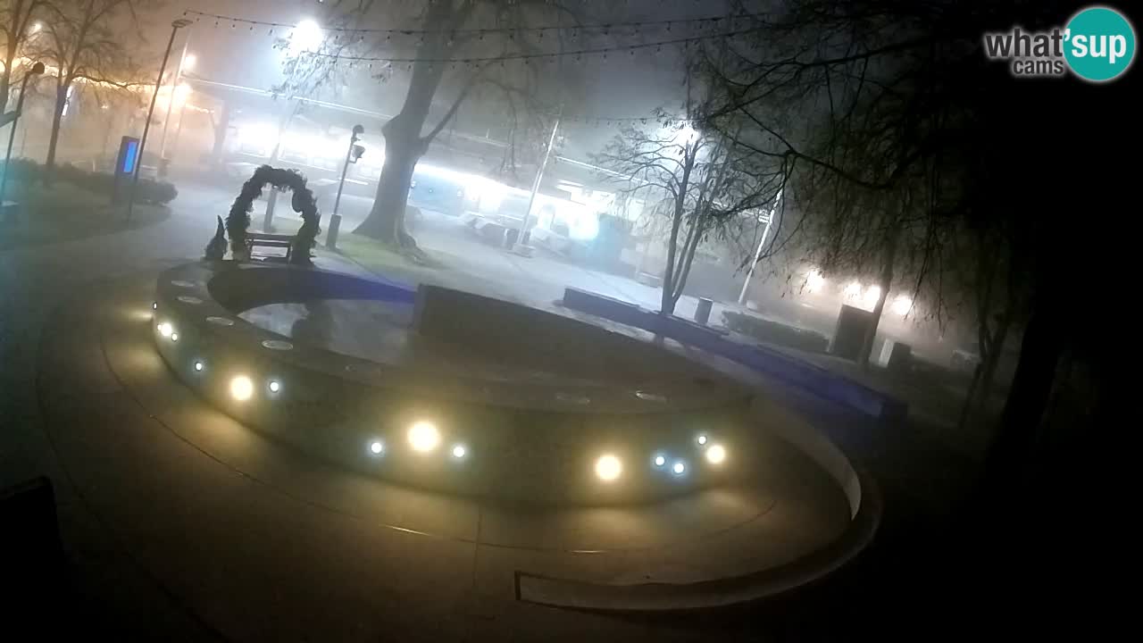 Web kamera Fontana piva – Zeleno zlato – Žalec