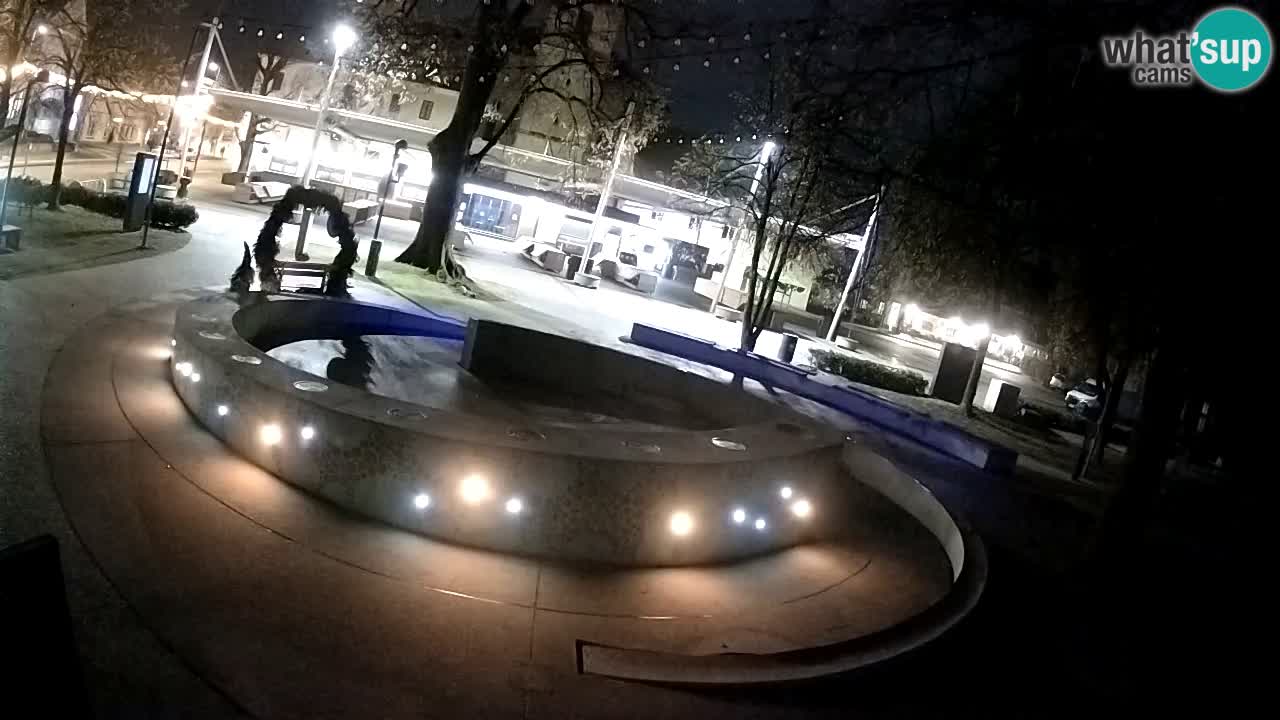 Fontaine à bière LIVE webcam – Or vert – Žalec