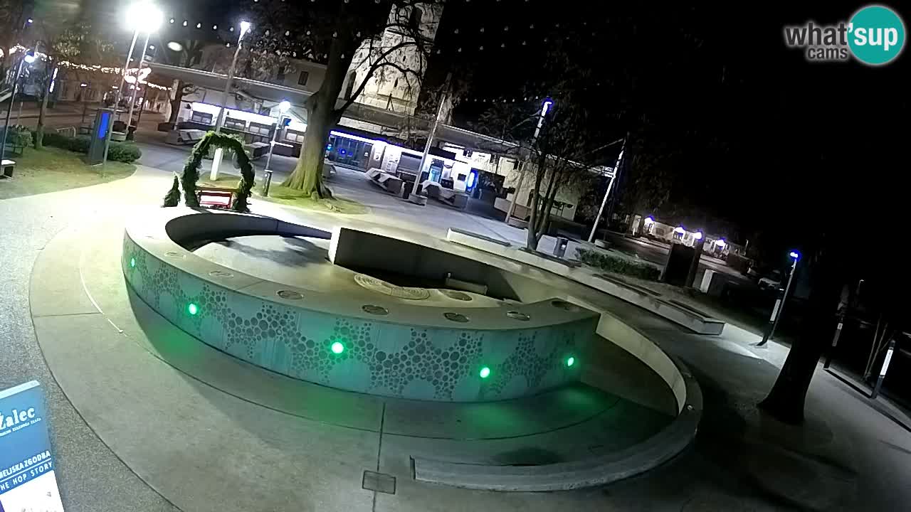 Web kamera Fontana piva – Zeleno zlato – Žalec