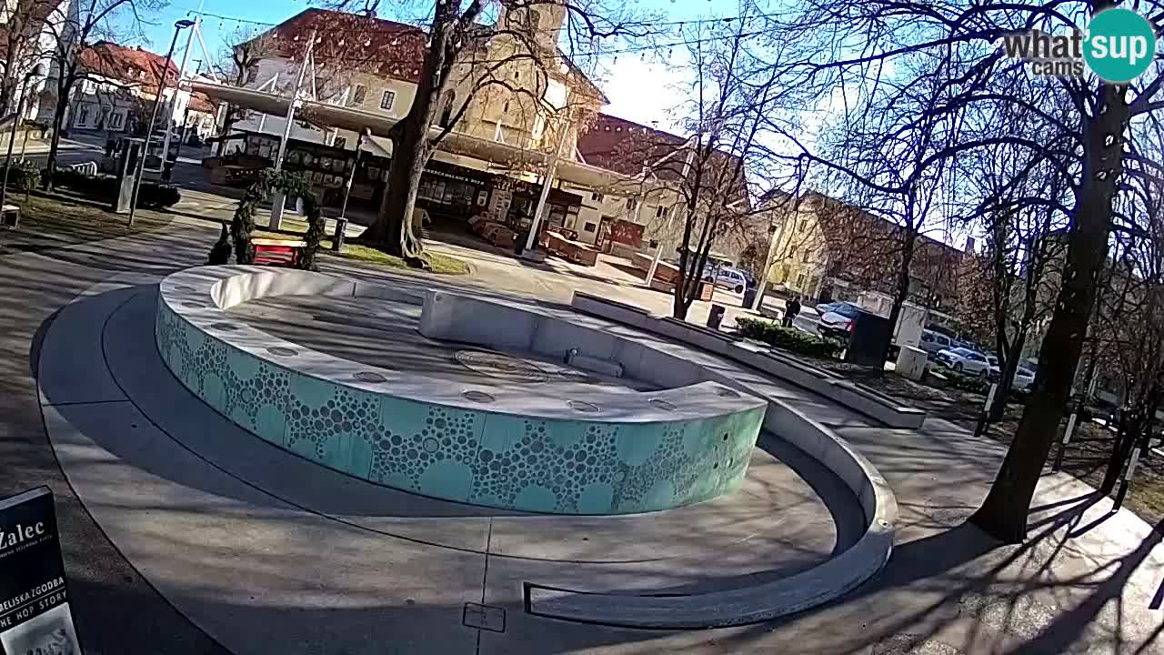 Fontana di birra Webcam – Oro verde – Žalec